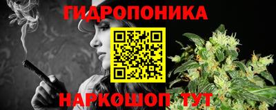 крисы Боровичи