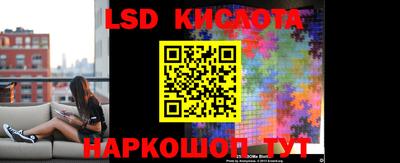 индика Брянск