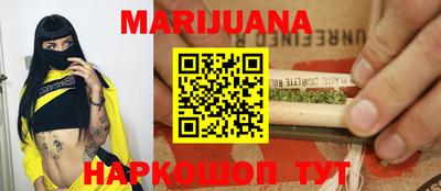 индика Братск