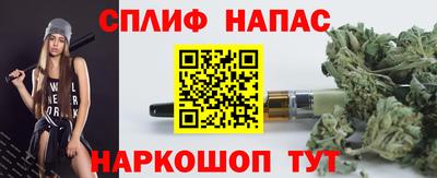 крисы Боровичи