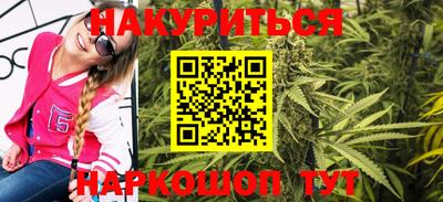 индика Брянск