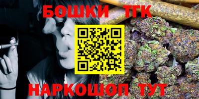 индика Братск