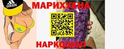 крисы Боровичи
