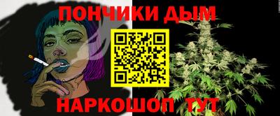 индика Брянск