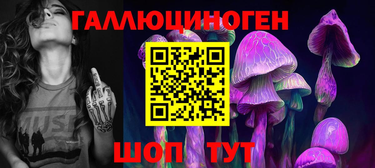 Протвино  Галлюциногенные грибы ЛСД  Вход с VPN  дарнет шоп  Галлюциногенные грибы мухоморы 